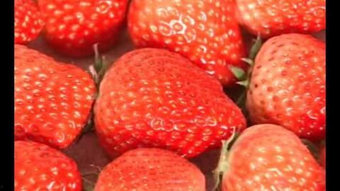 草莓国产在线视频,尽享田园风光与美味果实